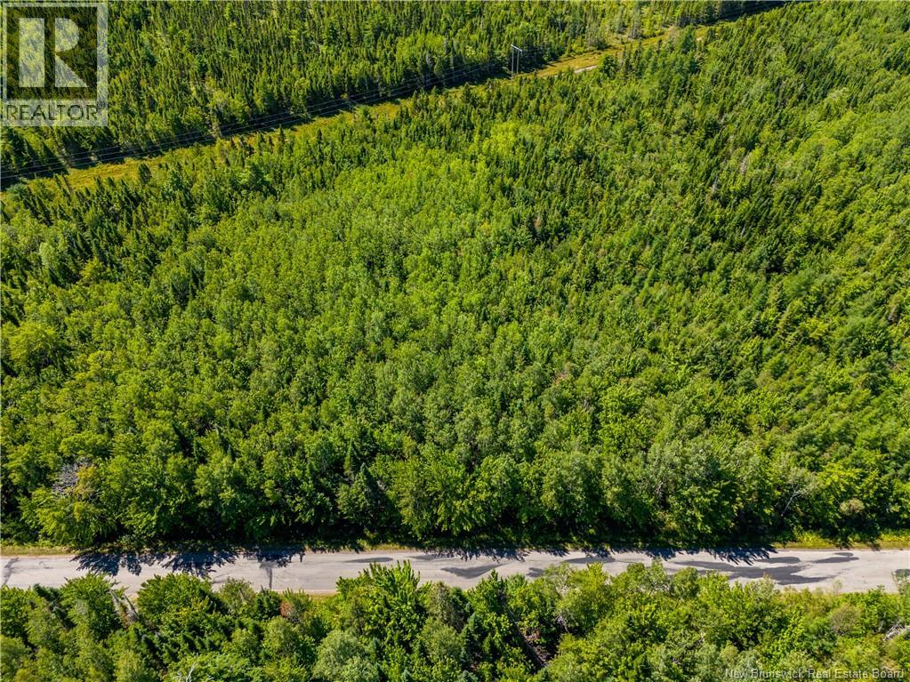 Lot 25-5 California Road, Rexton, New Brunswick  E4W 2J5 - Photo 5 - NB125526