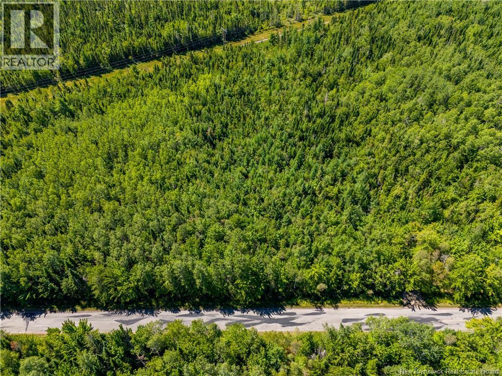 Lot 25-5 California Road, Rexton, New Brunswick  E4W 2J5 - Photo 9 - NB125526