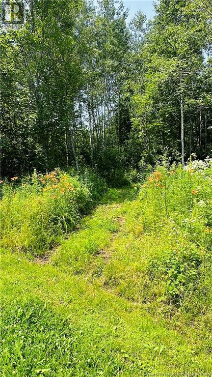 337 Foster Road, Mainstream, New Brunswick  E7P 1V6 - Photo 42 - NB125629