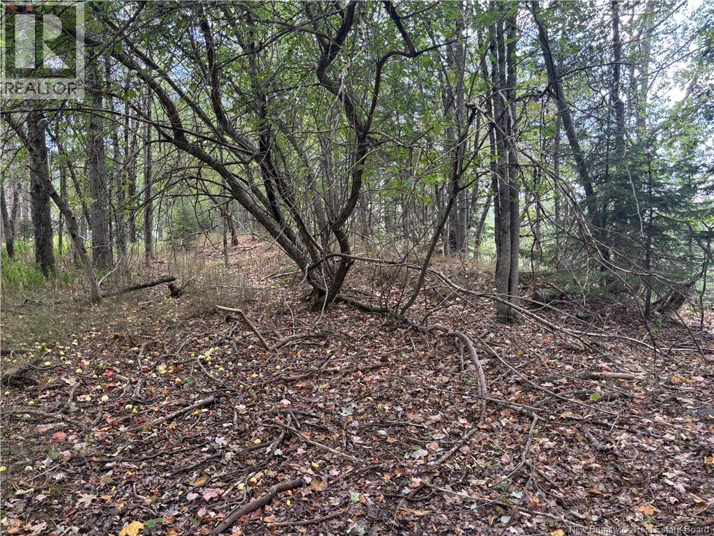 Lot B Kennebecasis River Road, Hampton, New Brunswick  E5N 8H2 - Photo 10 - NB125637