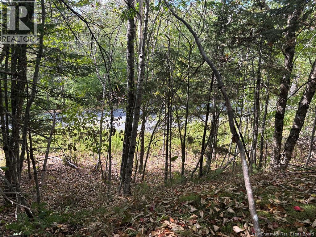 Lot B Kennebecasis River Road, Hampton, New Brunswick  E5N 8H2 - Photo 13 - NB125637