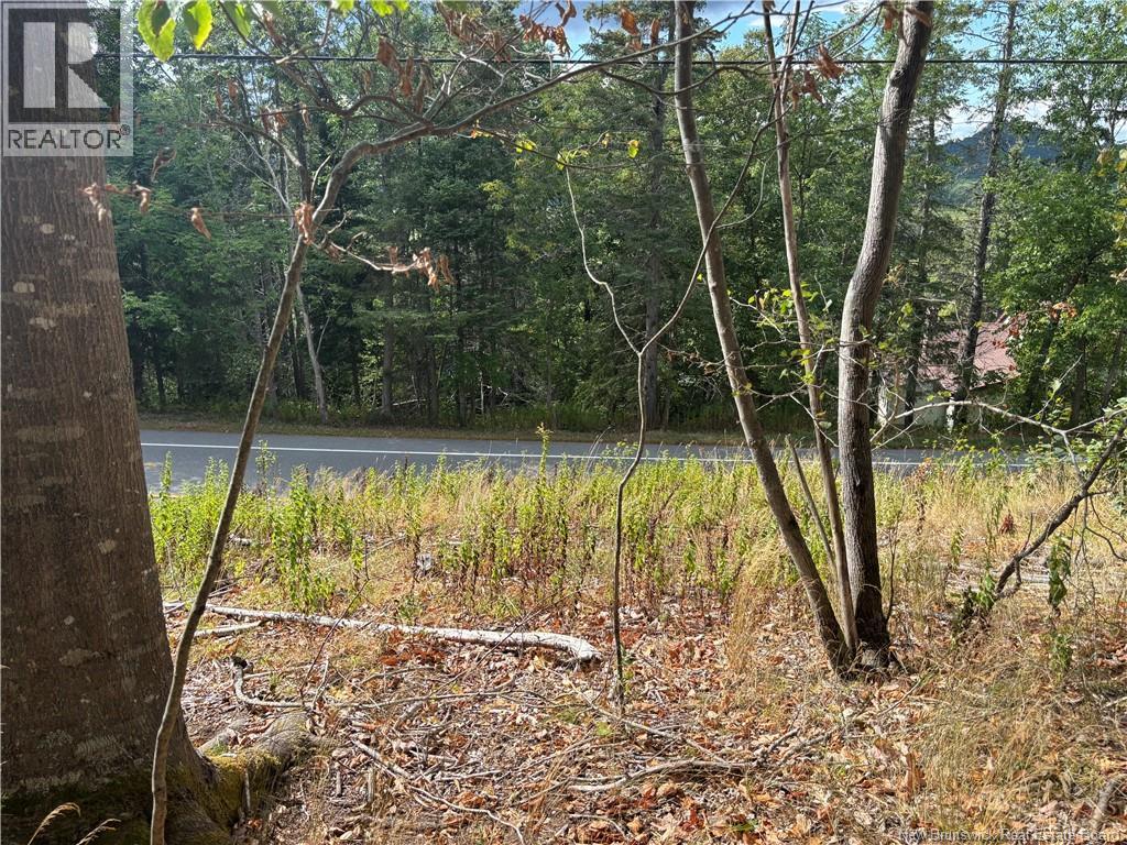 Lot B Kennebecasis River Road, Hampton, New Brunswick  E5N 8H2 - Photo 4 - NB125637