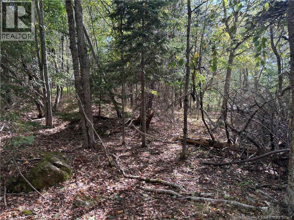 Lot B Kennebecasis River Road, Hampton, New Brunswick  E5N 8H2 - Photo 5 - NB125637
