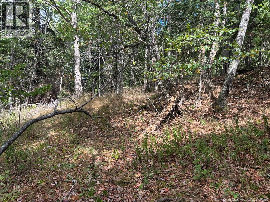 Lot B Kennebecasis River Road, Hampton, New Brunswick  E5N 8H2 - Photo 6 - NB125637