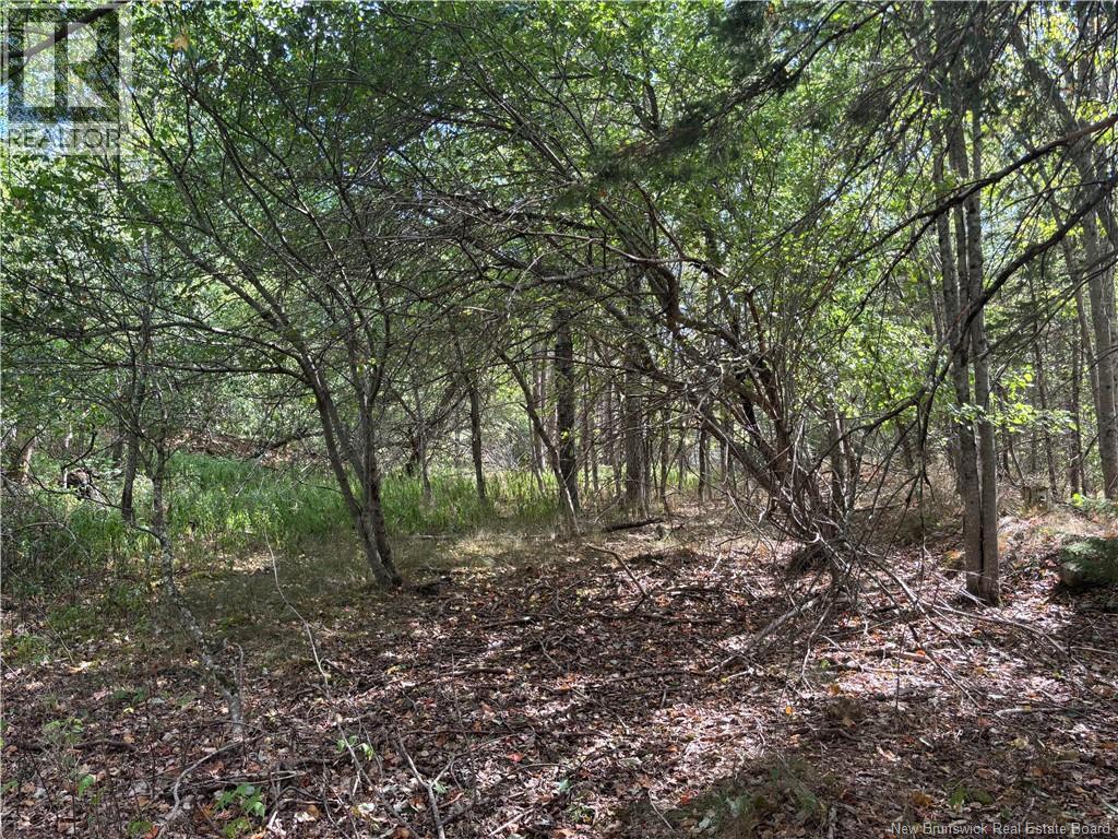 Lot B Kennebecasis River Road, Hampton, New Brunswick  E5N 8H2 - Photo 7 - NB125637
