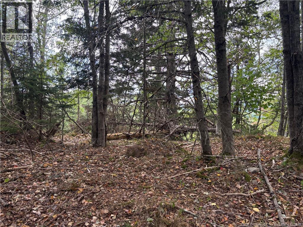Lot B Kennebecasis River Road, Hampton, New Brunswick  E5N 8H2 - Photo 8 - NB125637
