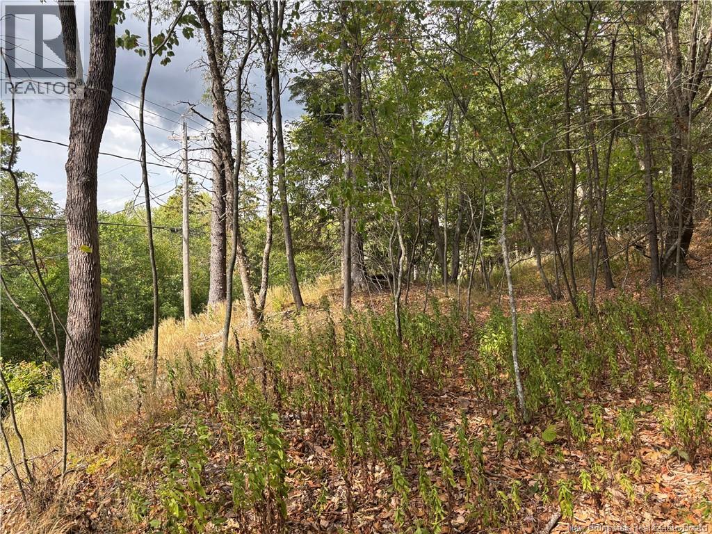 Lot B Kennebecasis River Road, Hampton, New Brunswick  E5N 8H2 - Photo 9 - NB125637