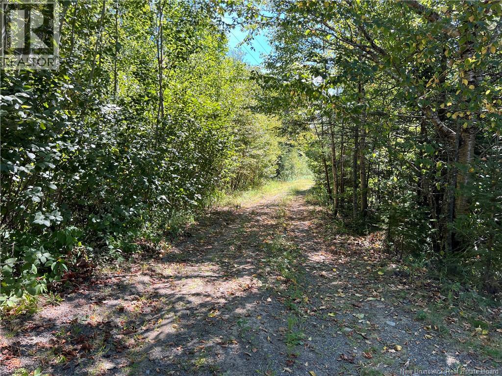 389 Bunker Hill Road, Wilsons Beach, New Brunswick  E5E 1M4 - Photo 47 - NB125682
