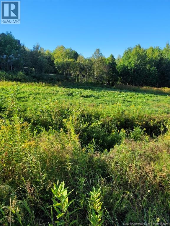 89-38 Parkhurst Drive, Grafton, New Brunswick  E7N 1N6 - Photo 2 - NB125737