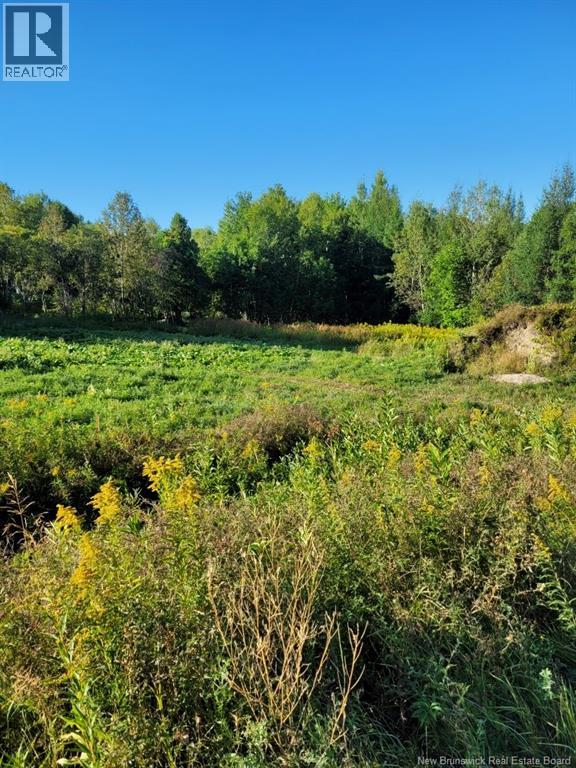 89-38 Parkhurst Drive, Grafton, New Brunswick  E7N 1N6 - Photo 3 - NB125737