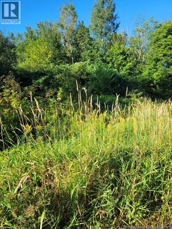 N/a Mark Street, Grafton, New Brunswick  E7N 1N9 - Photo 2 - NB125736