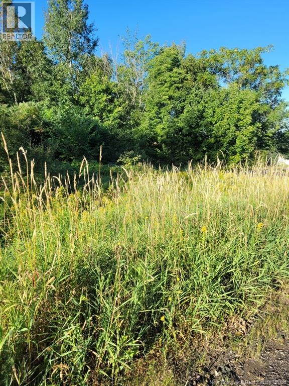 N/a Mark Street, Grafton, New Brunswick  E7N 1N9 - Photo 3 - NB125736