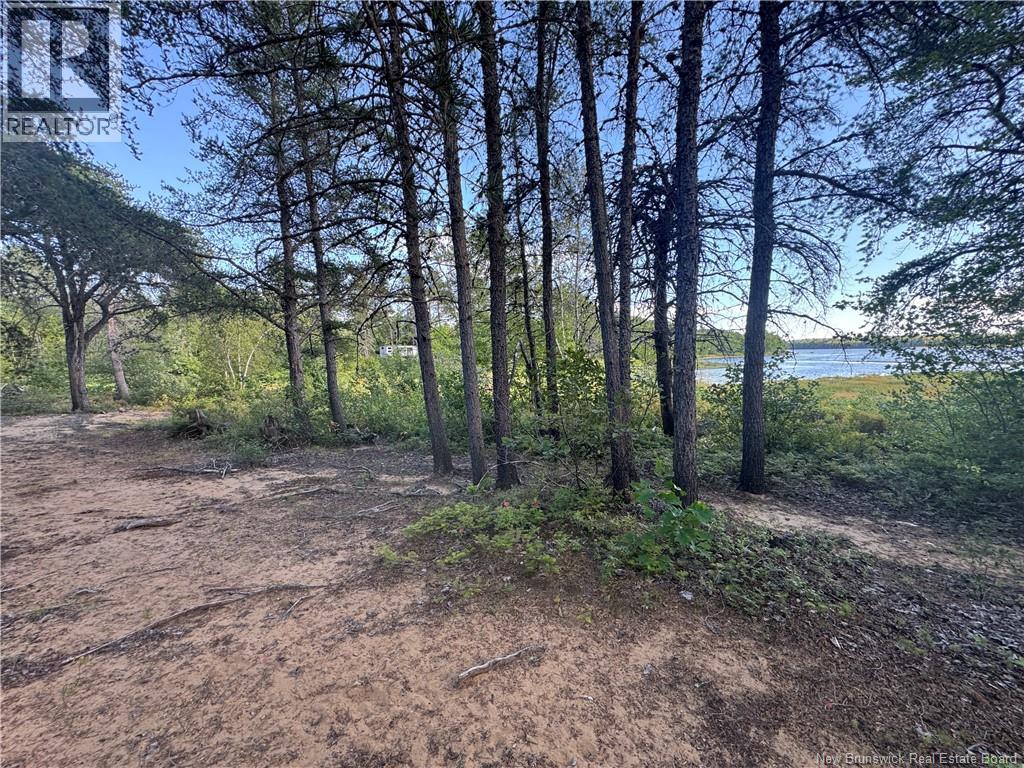Lot Wegesegum Road, Long Creek, New Brunswick  E4A 3P5 - Photo 8 - NB125745