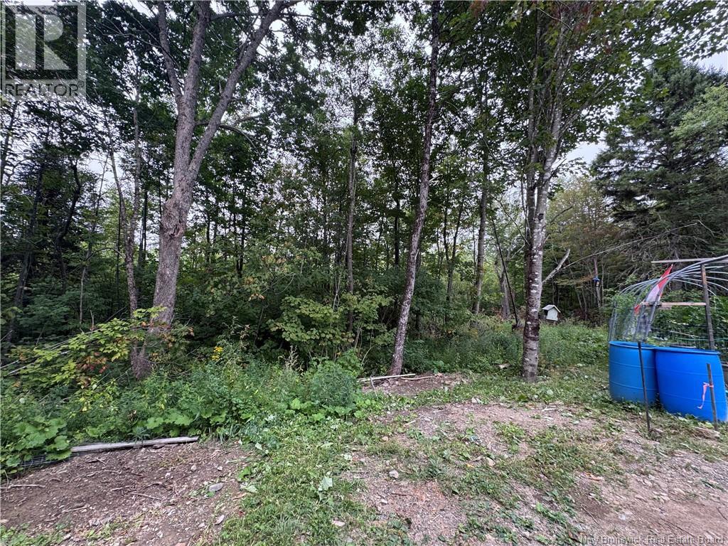 Lot 03-02 Feeney Road, Gordonsville, New Brunswick  E7L 2N3 - Photo 10 - NB125756