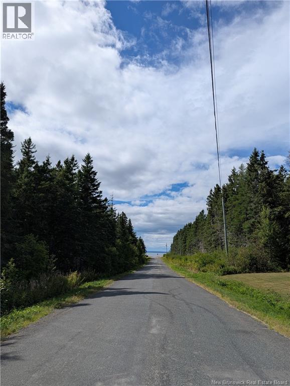 5665 Route 11, Janeville, New Brunswick  E2A 5K5 - Photo 39 - NB125654