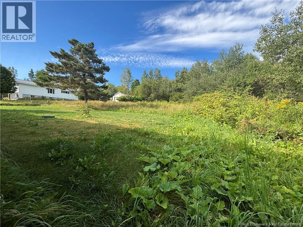80 Route 165, Meductic, New Brunswick  E6H 1B4 - Photo 9 - NB125480