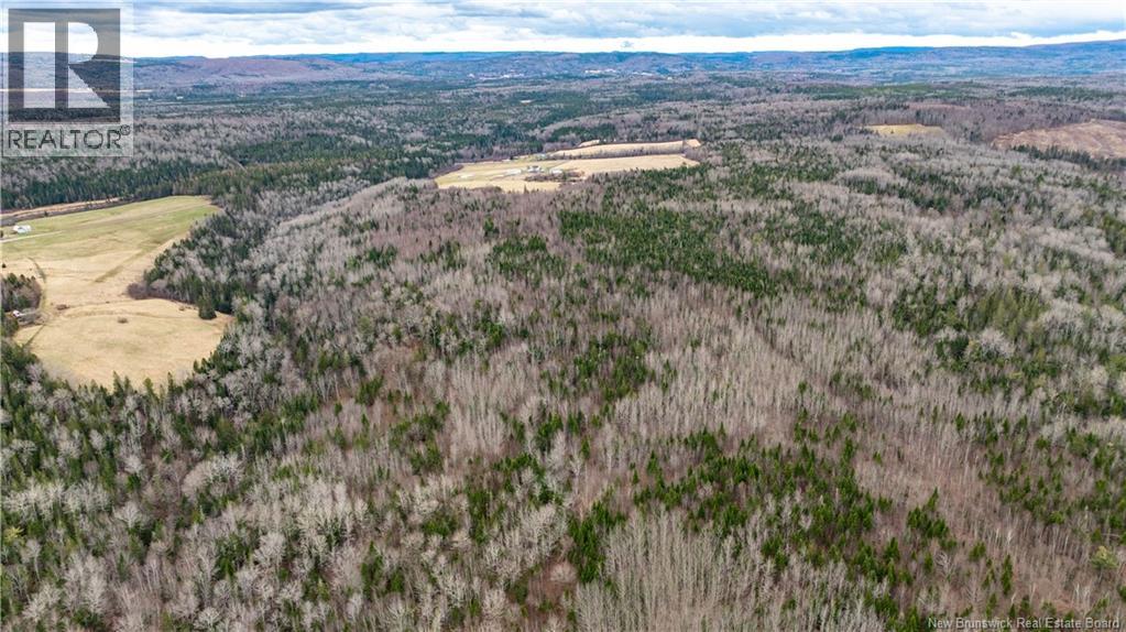 552 Erb Settlement Road, Erb Settlement, New Brunswick  E5P 1Z8 - Photo 34 - NB125853