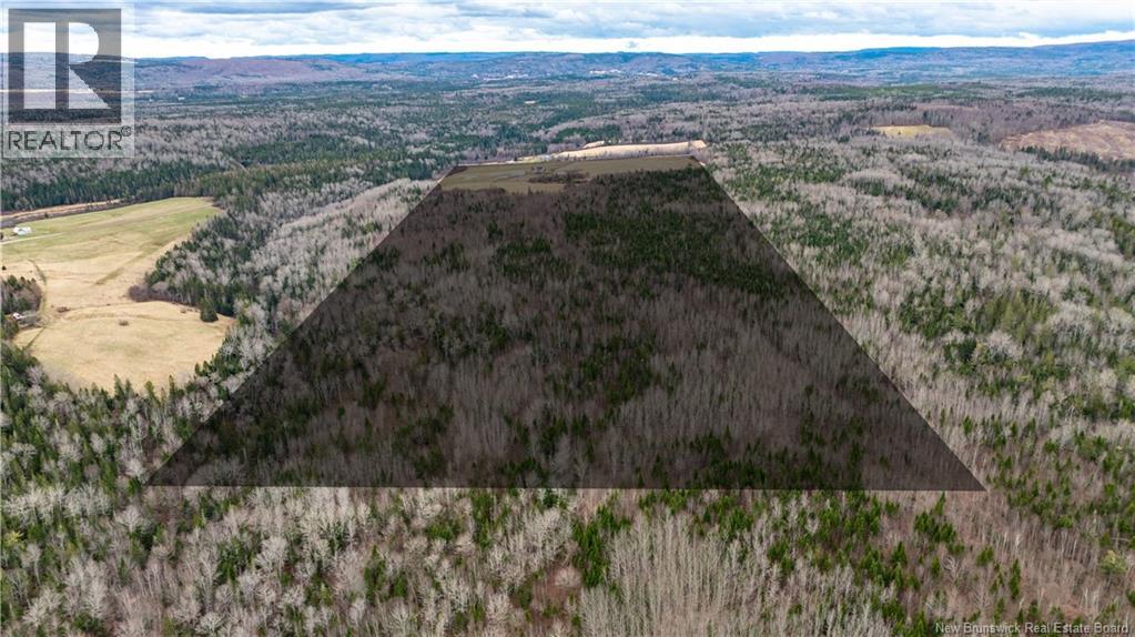 552 Erb Settlement Road, Erb Settlement, New Brunswick  E5P 1Z8 - Photo 35 - NB125853