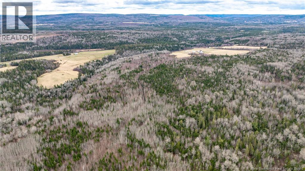 552 Erb Settlement Road, Erb Settlement, New Brunswick  E5P 1Z8 - Photo 36 - NB125853