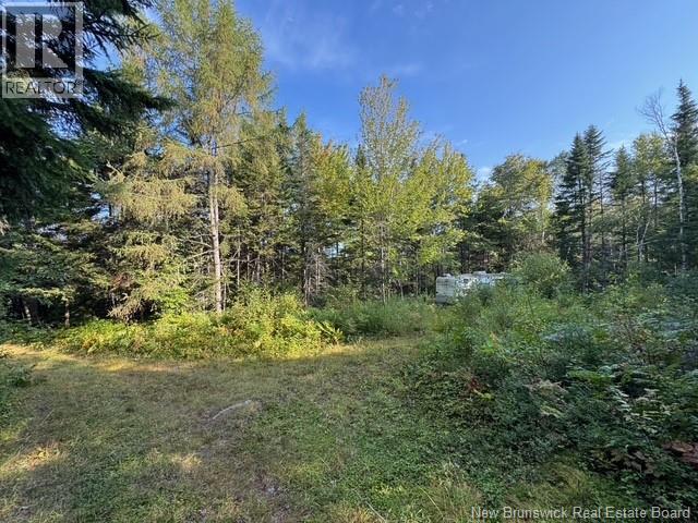 Milkish Creek Road, Summerville, New Brunswick  E5S 1V7 - Photo 2 - NB125800