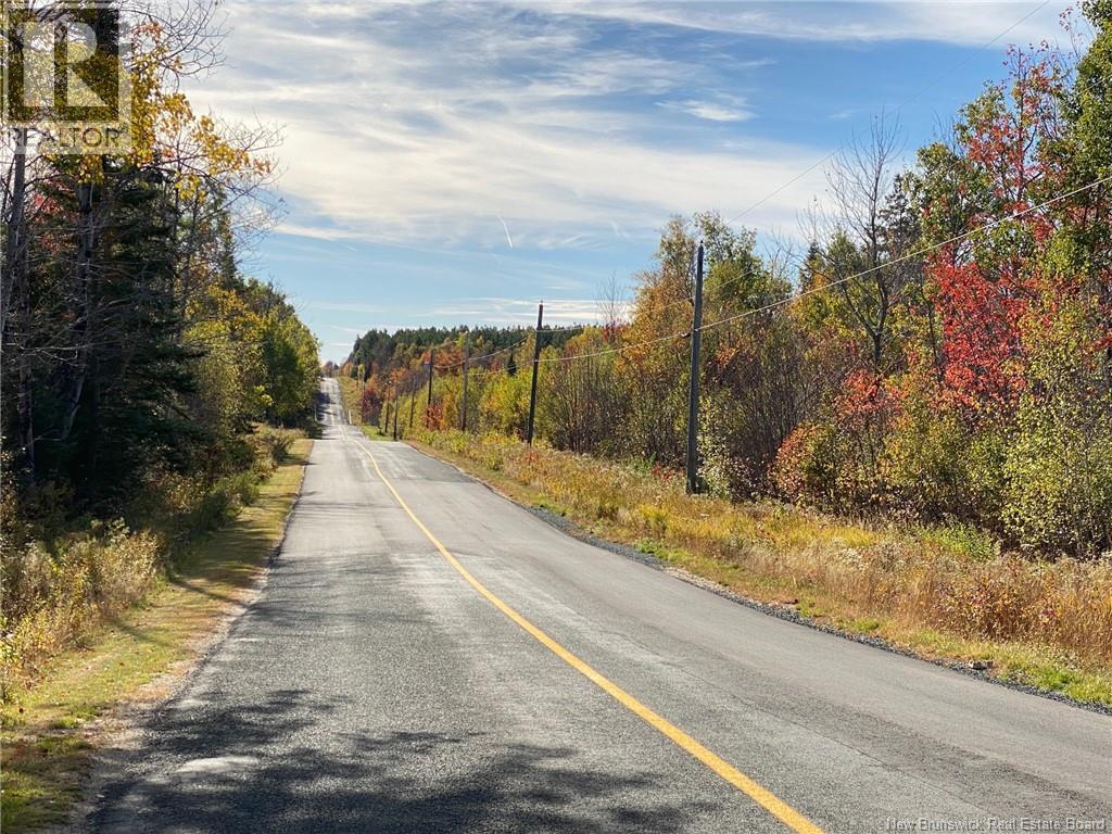 Lot Route 440, Rosaireville, New Brunswick  E4Y 2Y6 - Photo 3 - NB125845