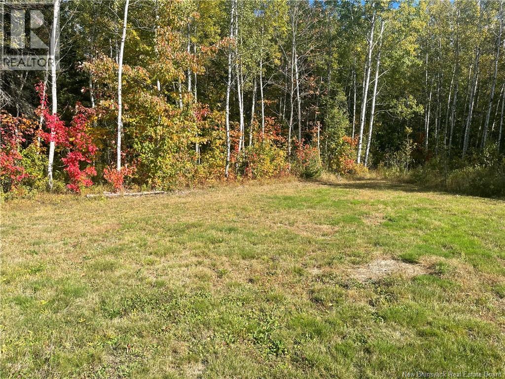 Camp And Lot Brown Road, Sainte-Anne-De-Kent, New Brunswick  E4S 1R6 - Photo 15 - NB125812