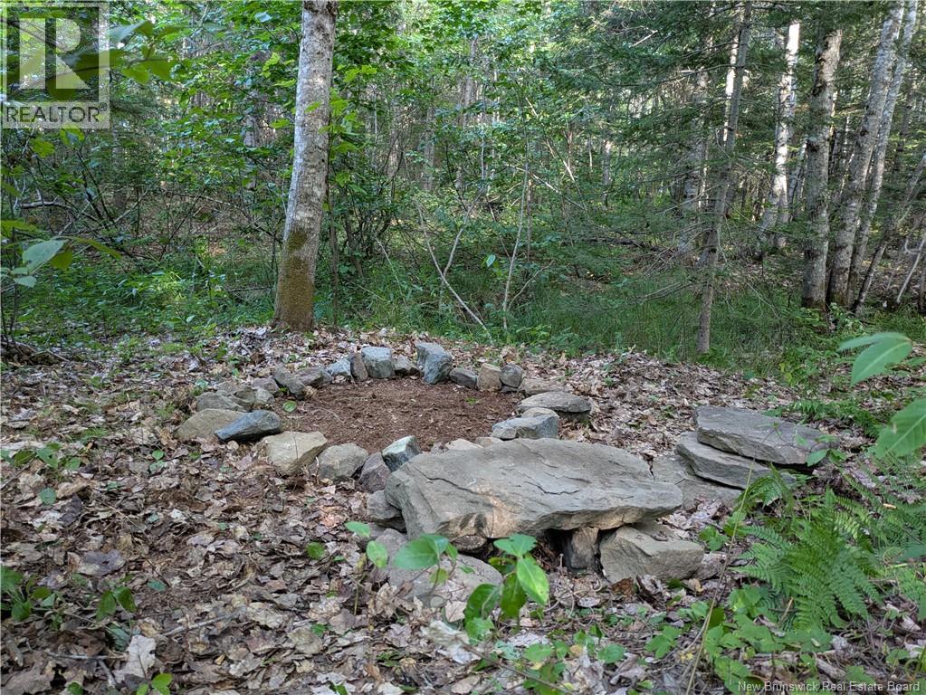 Lot Route 490, Pine Ridge, New Brunswick  E4T 3G1 - Photo 11 - NB125646