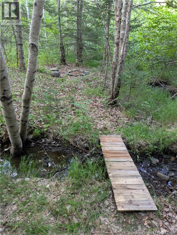 Lot Route 490, Pine Ridge, New Brunswick  E4T 3G1 - Photo 13 - NB125646