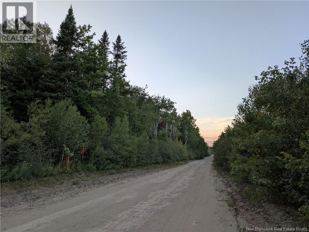 Lot Route 490, Pine Ridge, New Brunswick  E4T 3G1 - Photo 19 - NB125646