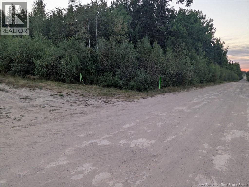 Lot Route 490, Pine Ridge, New Brunswick  E4T 3G1 - Photo 20 - NB125646