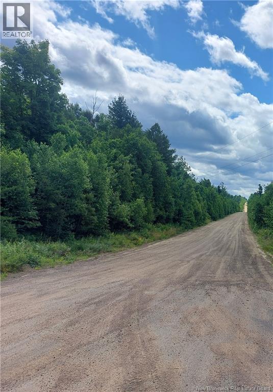 Lot Route 490, Pine Ridge, New Brunswick  E4T 3G1 - Photo 4 - NB125646