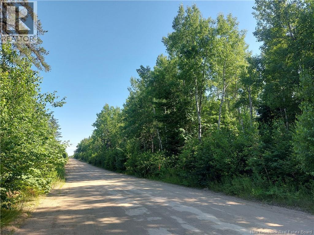 Lot Route 490, Pine Ridge, New Brunswick  E4T 3G1 - Photo 5 - NB125646