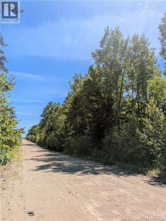 Lot Route 490, Pine Ridge, New Brunswick  E4T 3G1 - Photo 6 - NB125646