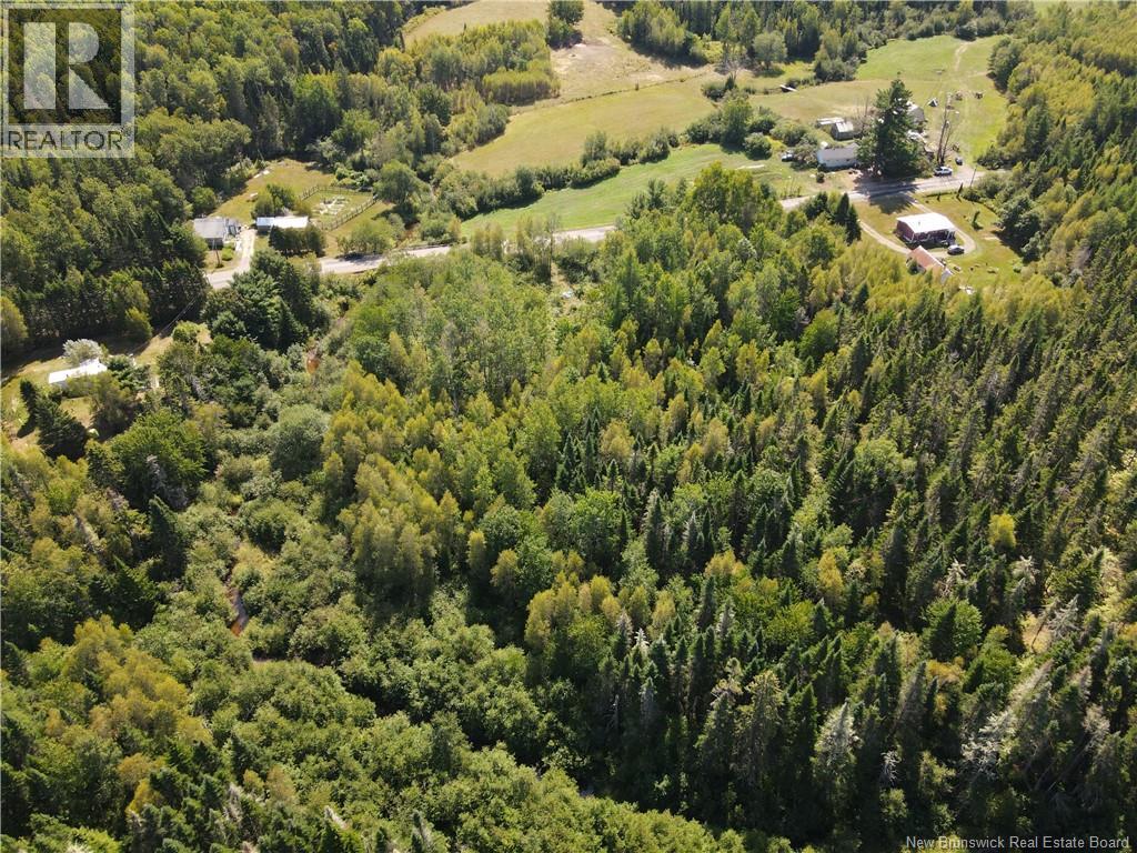 855 Route 875, Searsville, New Brunswick  E5P 3G6 - Photo 3 - NB125614