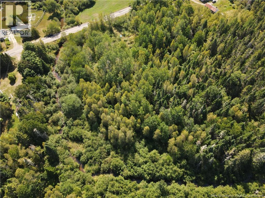 855 Route 875, Searsville, New Brunswick  E5P 3G6 - Photo 4 - NB125614