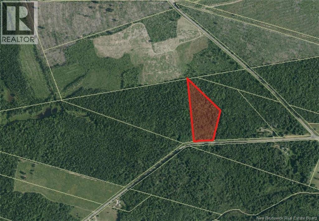 Lot Ch Saint Charles Nord, Saint-Charles, New Brunswick  E4W 4S5 - Photo 10 - NB125783