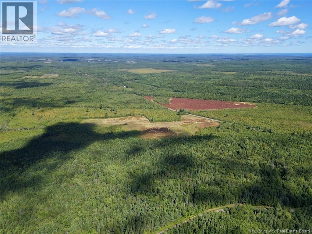 Lot Ch Saint Charles Nord, Saint-Charles, New Brunswick  E4W 4S5 - Photo 14 - NB125783