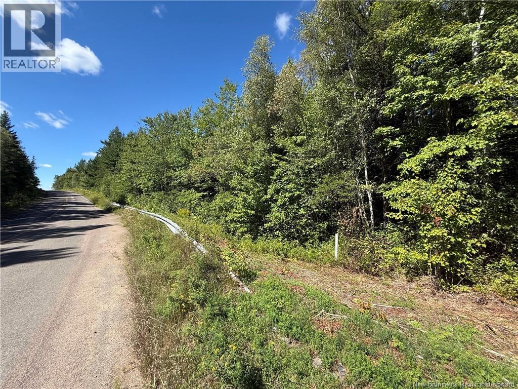 Lot Ch Saint Charles Nord, Saint-Charles, New Brunswick  E4W 4S5 - Photo 3 - NB125783
