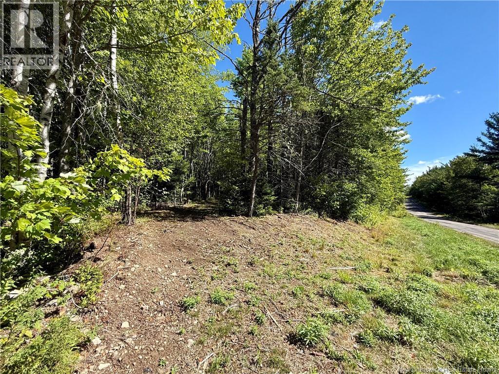 Lot Ch Saint Charles Nord, Saint-Charles, New Brunswick  E4W 4S5 - Photo 4 - NB125783