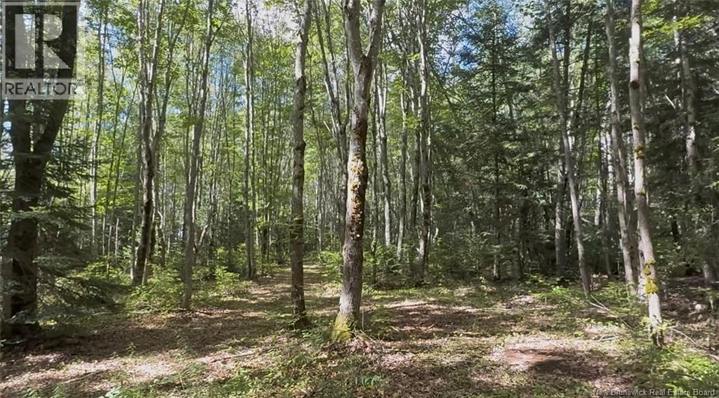 Lot Ch Saint Charles Nord, Saint-Charles, New Brunswick  E4W 4S5 - Photo 5 - NB125783