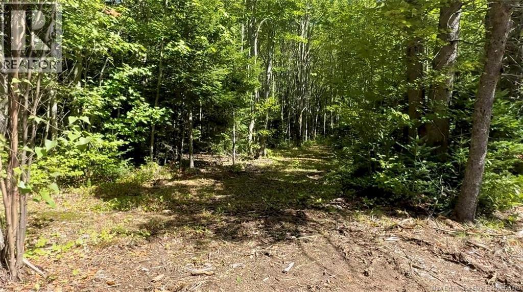 Lot Ch Saint Charles Nord, Saint-Charles, New Brunswick  E4W 4S5 - Photo 6 - NB125783