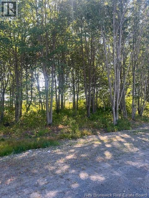 Lot 12-06 Lecojo Lane, Cocagne, New Brunswick  E4R 0G7 - Photo 4 - NB125836