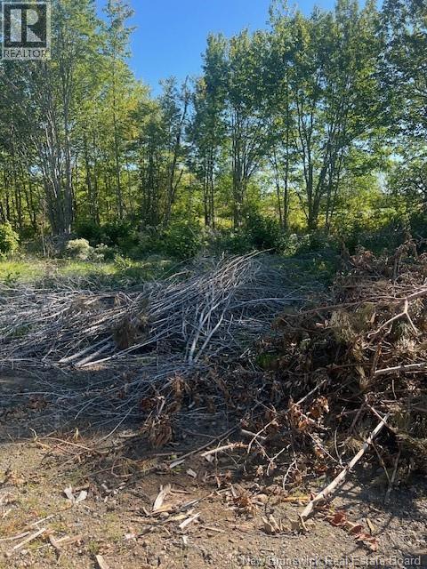 Lot 12-06 Lecojo Lane, Cocagne, New Brunswick  E4R 0G7 - Photo 5 - NB125836