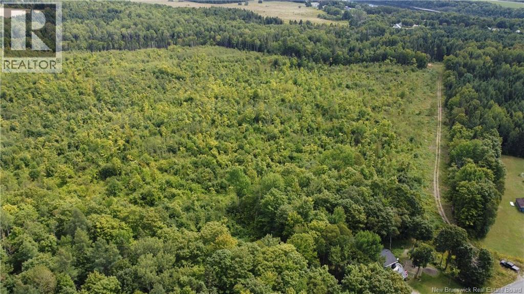 0 Beechwood Road, Beechwood, New Brunswick  E7J 1Z2 - Photo 2 - NB125929