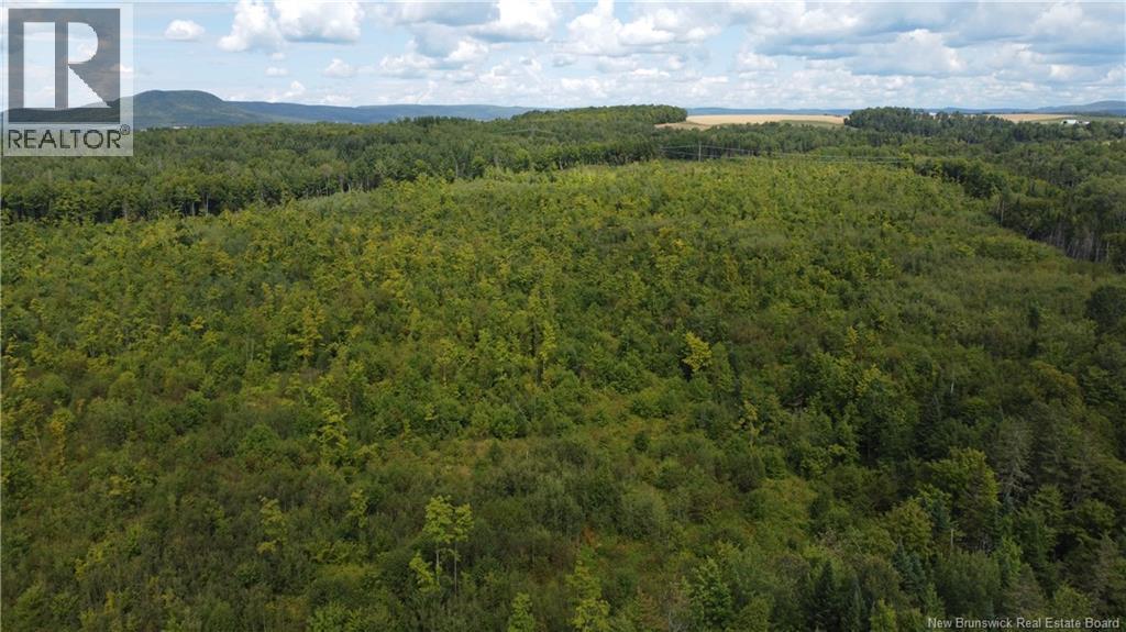 0 Beechwood Road, Beechwood, New Brunswick  E7J 1Z2 - Photo 3 - NB125929