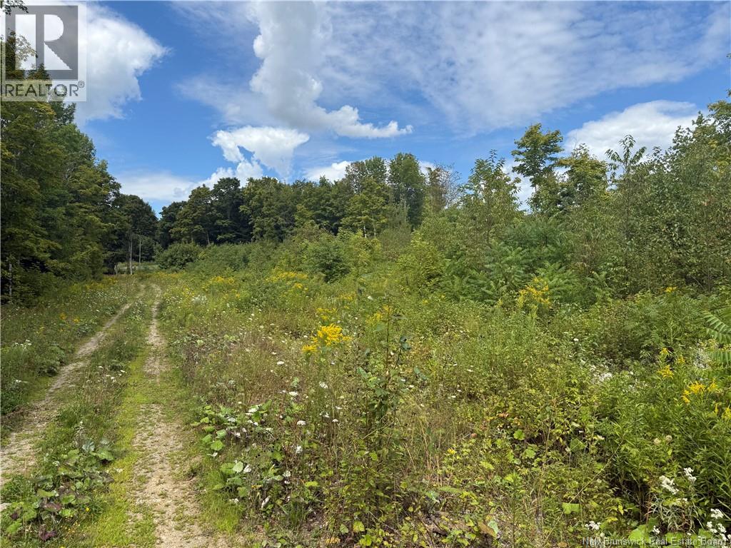 0 Beechwood Road, Beechwood, New Brunswick  E7J 1Z2 - Photo 5 - NB125929