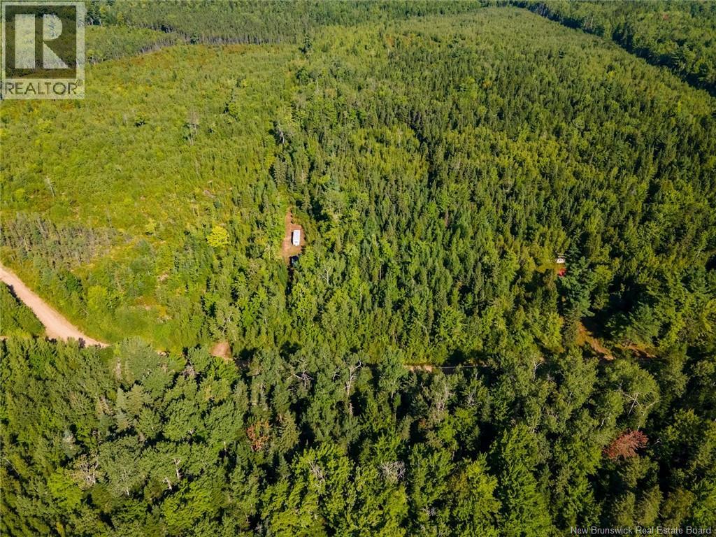 1620 Saint-Sosime Road, Adamsville, New Brunswick  E4T 2G9 - Photo 26 - NB124784