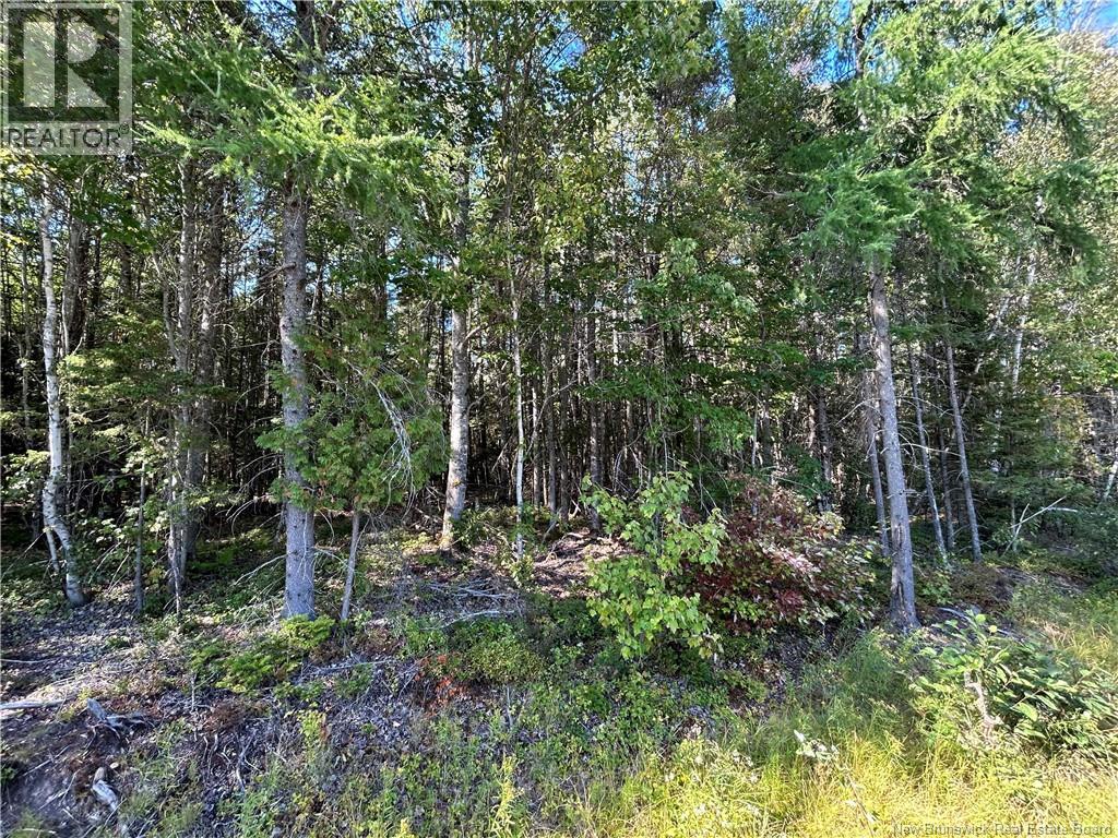 Lot 25-4 Upper Midland Road, Norton, New Brunswick  E5T 1Z8 - Photo 9 - NB125946
