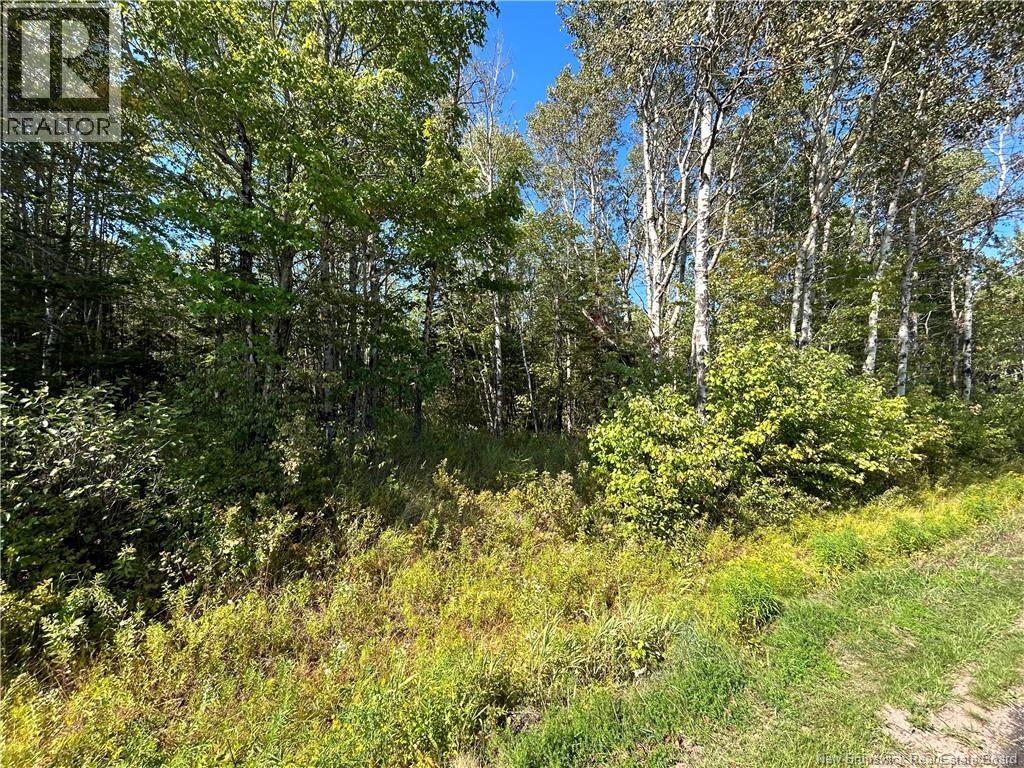 Lot 25-2 Upper Midland Road, Norton, New Brunswick  E5T 1Z8 - Photo 10 - NB125941