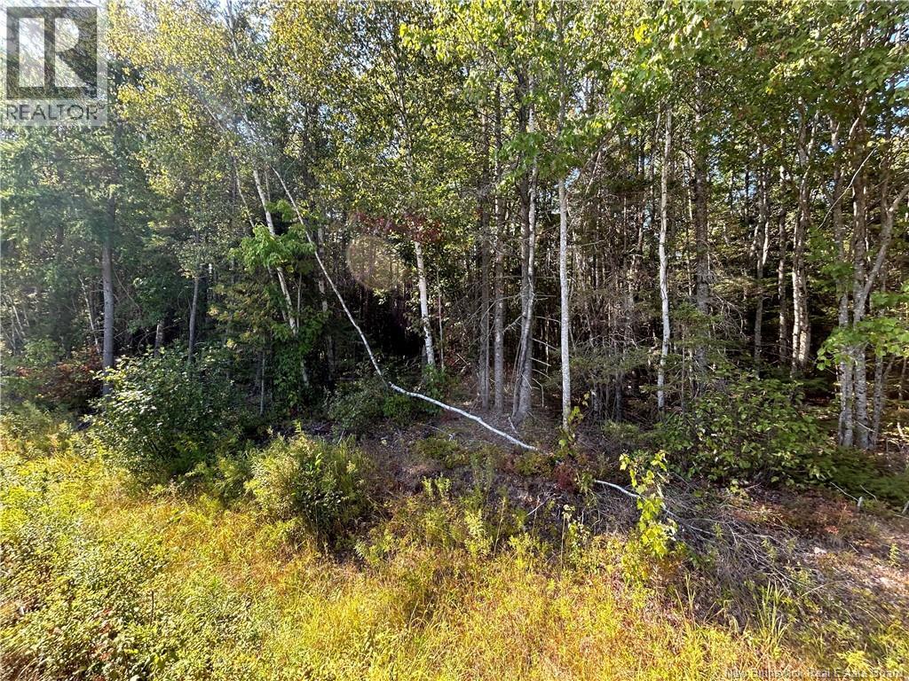 Lot 25-2 Upper Midland Road, Norton, New Brunswick  E5T 1Z8 - Photo 3 - NB125941